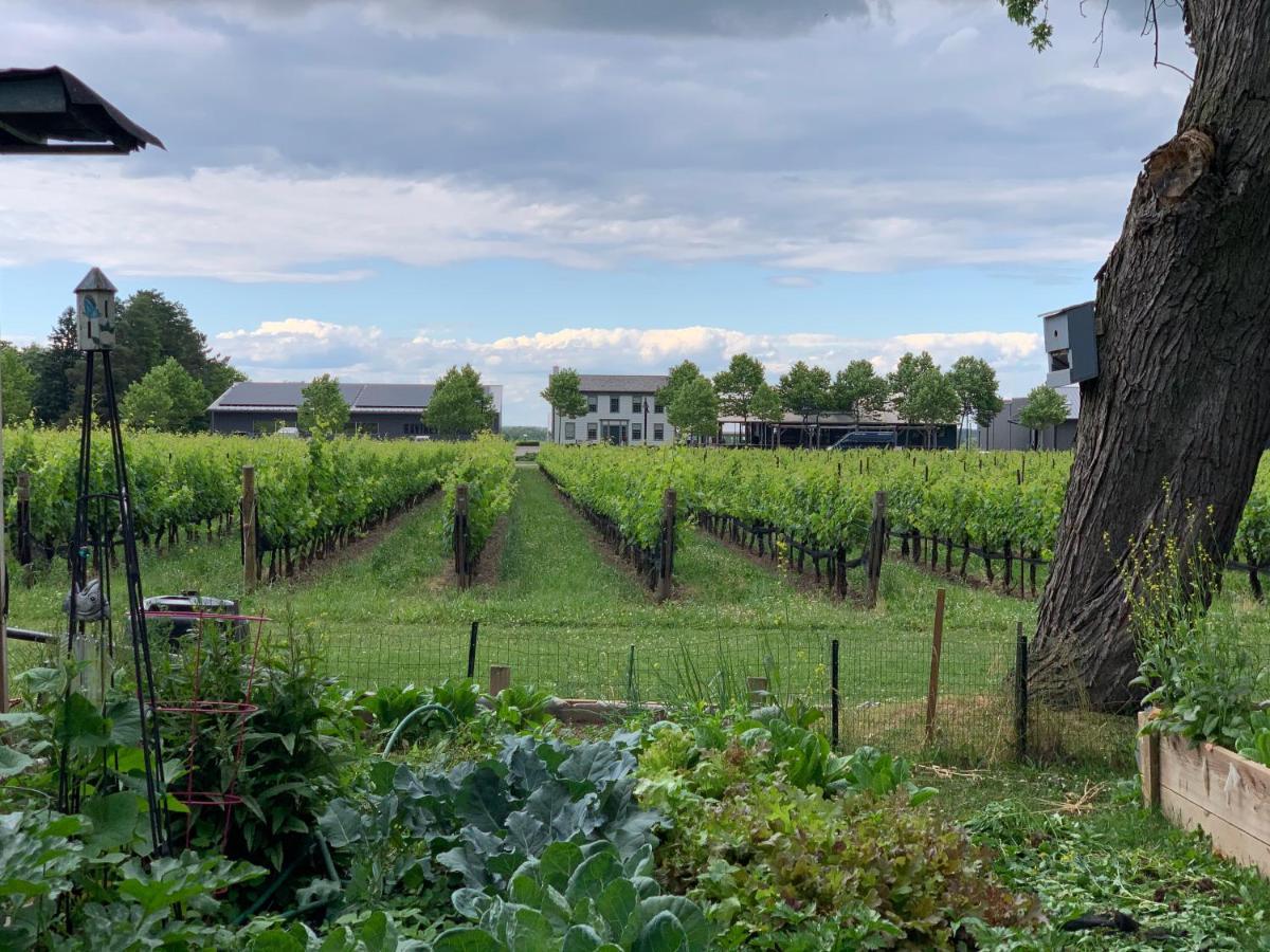 Green Oaks B&B Niagara-on-the-Lake Εξωτερικό φωτογραφία
