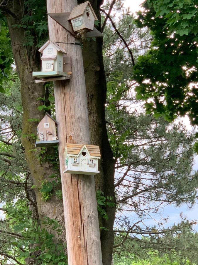 Green Oaks B&B Niagara-on-the-Lake Εξωτερικό φωτογραφία