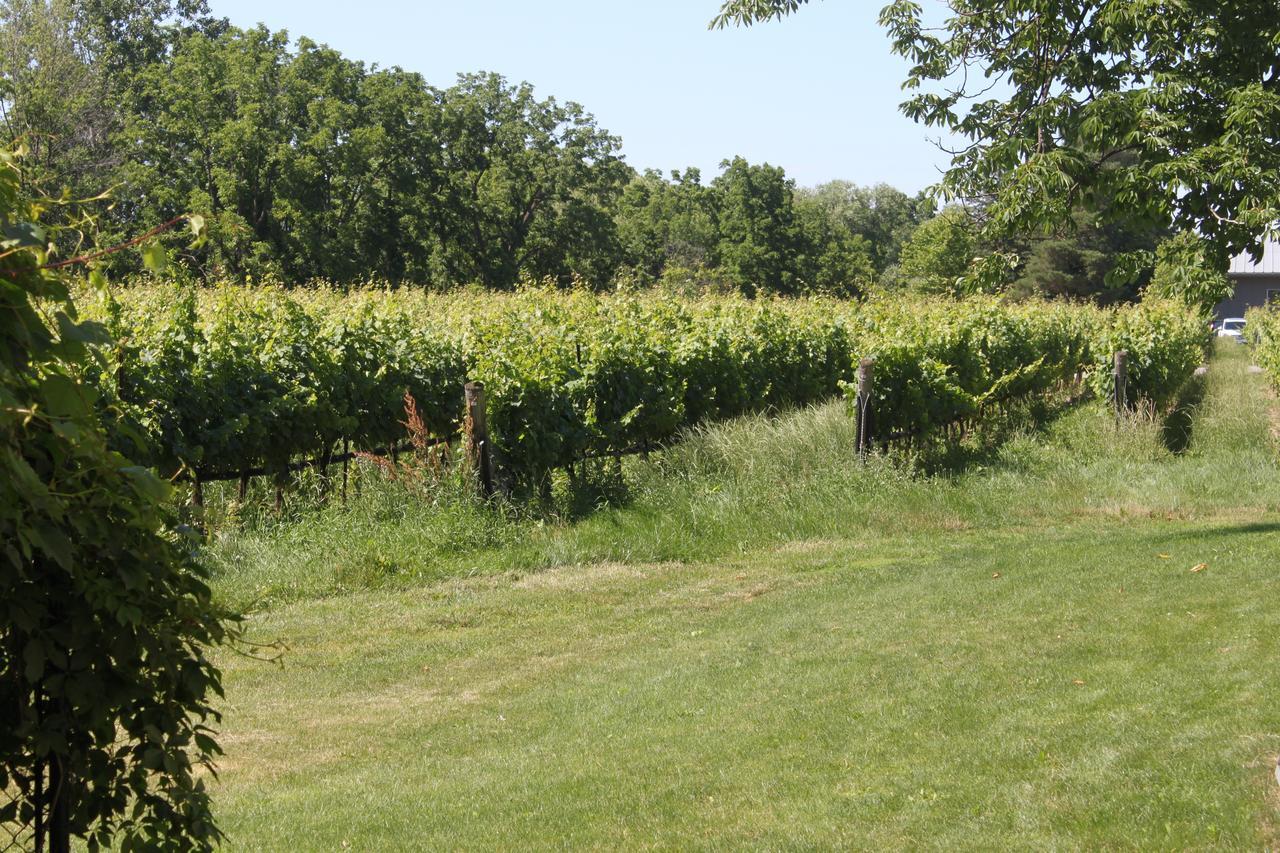 Green Oaks B&B Niagara-on-the-Lake Εξωτερικό φωτογραφία